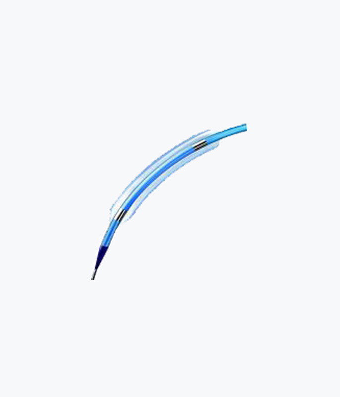 PTCA Balloon Catheter